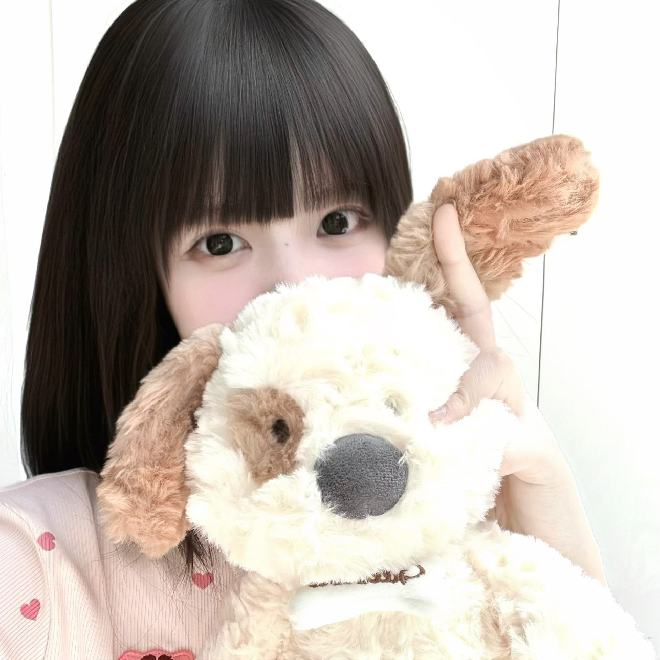 Muzze || Art & History Museum